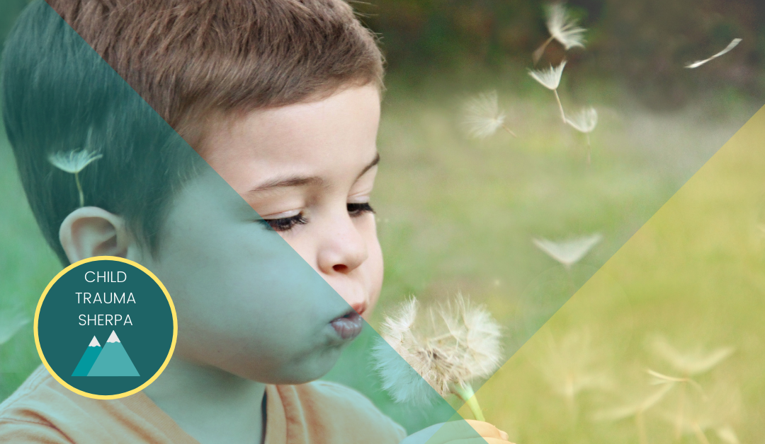 Improving Your Family Dynamic When Child Trauma is in the Picture