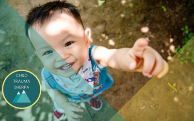 Adverse Childhood Experiences and the Lifelong Consequences of Trauma