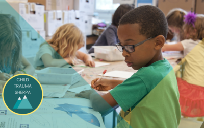 Supporting Positive Student Behaviors 